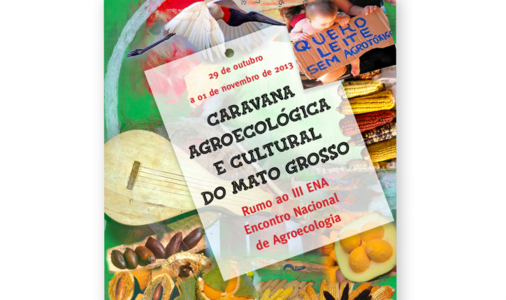 <p>Cartaz para Caravana Agroecol�gica e Cultural do Mato Grosso 2013</p>
<p> </p>
